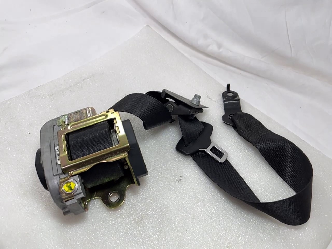 2022-04-23 124230.jpg